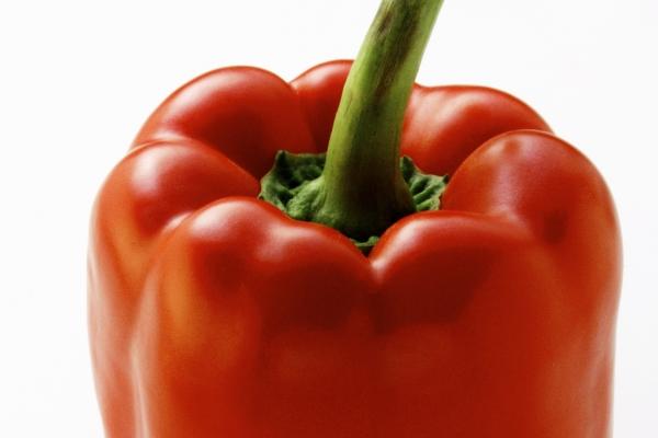 2026年属羊人上半年运势