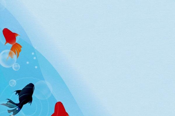 属狗男吃定的属相女