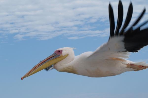 69属鸡人发横财的年龄
