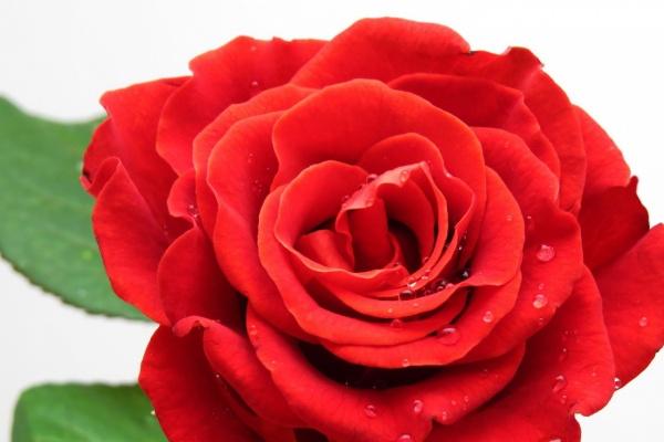 88年龙38岁后十年大运