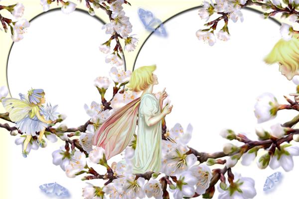 1980属猴人46岁情劫预警