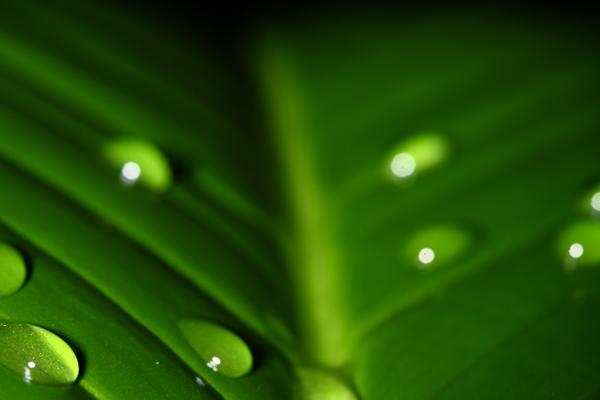 2026年鸡女大富大贵