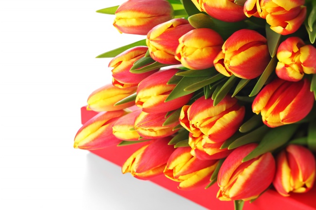 2026年属蛇是百年难遇吗