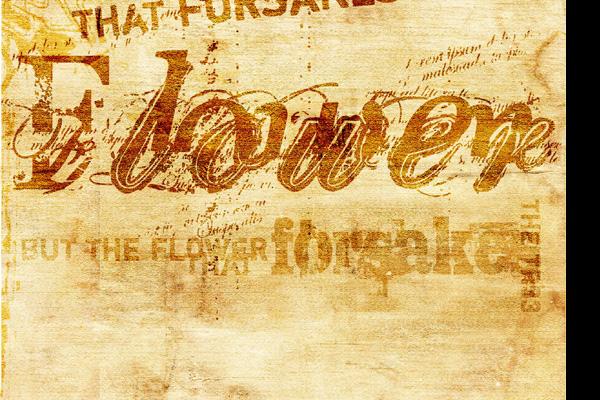 65年蛇人发横财的年龄