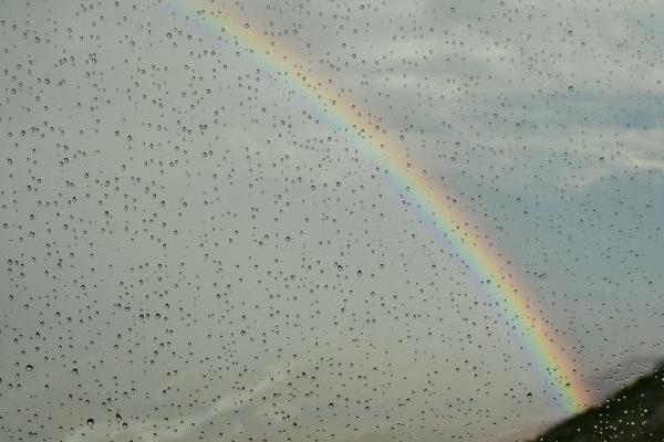 93年女鸡2026年有喜事