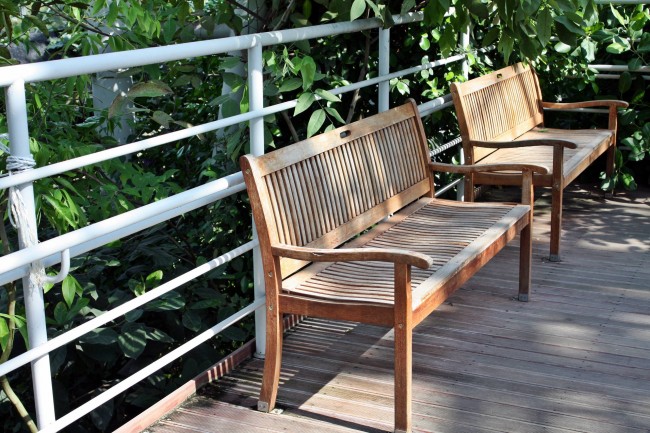 九月的猪女婚姻如何