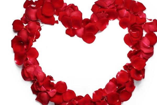 几月出生的马好