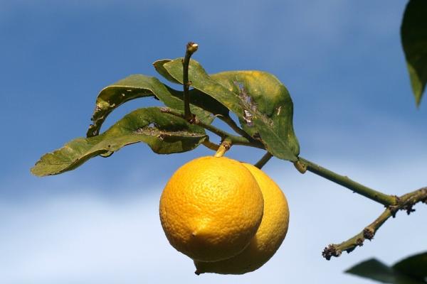 84年鼠41岁后十年大运