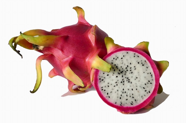 1991年羊女二月出生命苦吗