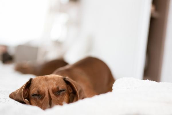 属鸡2026年岗位变动机会，2026年属鸡工作调动在几月