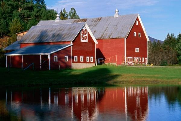 土龙命适合什么颜色