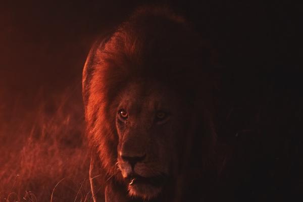 属鸡2026戴红绳好不好