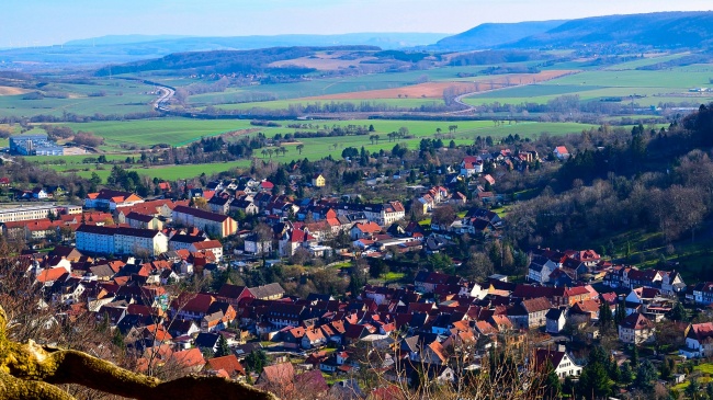 属兔2026年岗位变动机会，2026年属兔工作调动在几月