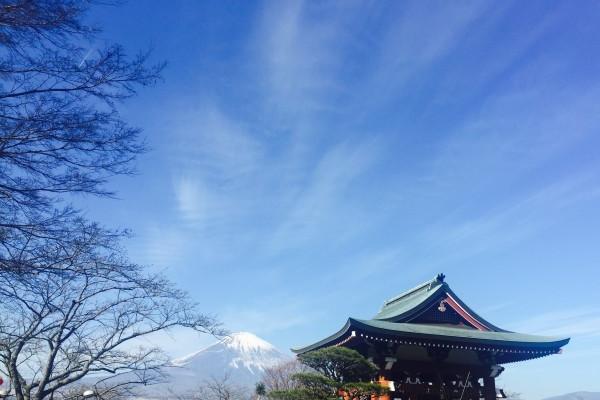 属鼠人2026年桃花劫与正缘揭秘