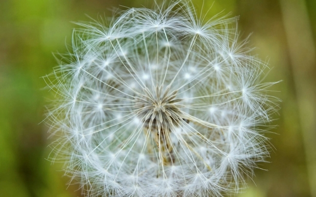 2026年属鼠的事业贵人