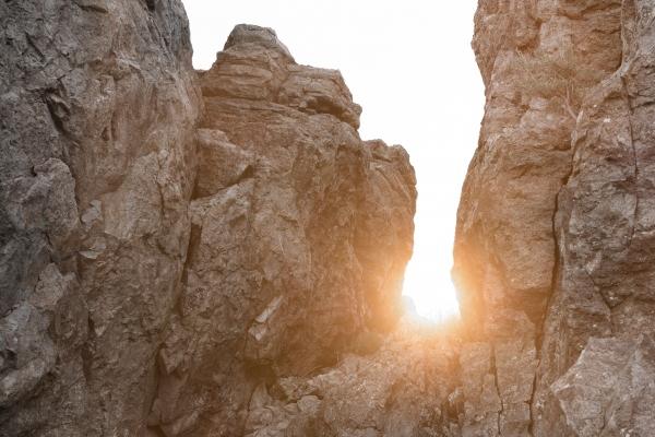 土蛇命和什么命最配