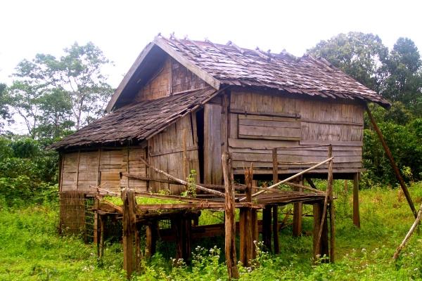 70年狗是什么命