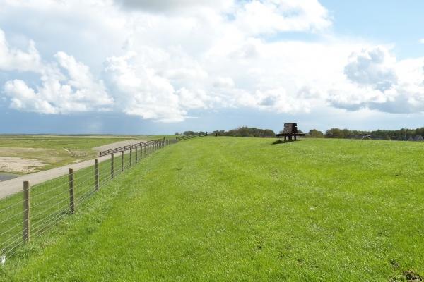 二月属鼠的人犯月吗