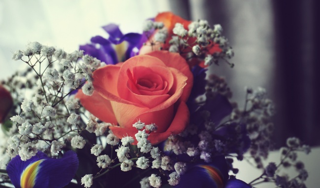 2026年属羊的几月搬家最好