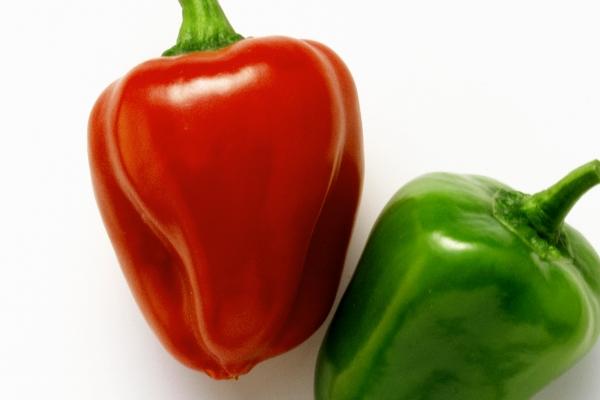 二月属兔男人命运如何