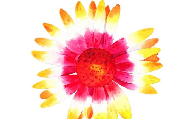 属猪女被谁呵护到老