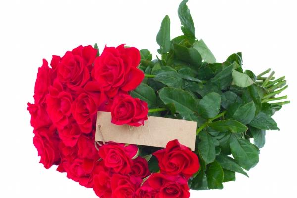 2026年属鸡的几月搬家最好