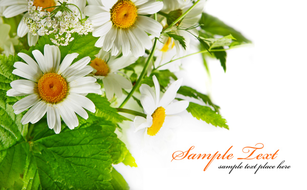 2026年属龙女人运气