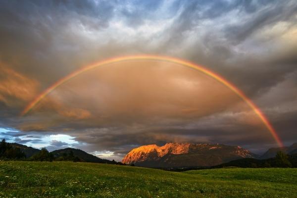 属虎人最旺的职业
