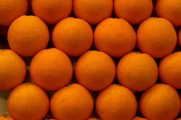 属鸡人最旺的职业