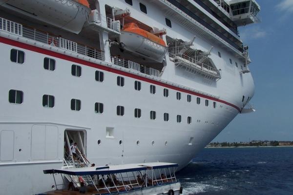 土羊命是什么意思