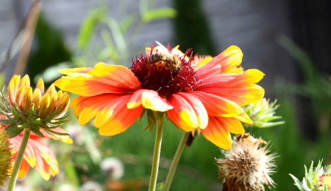 梦到去世母亲生病怎么回事