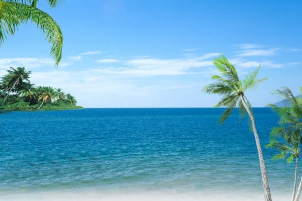 2026重孝属猪在几月