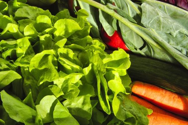 土羊命和海中金能相配婚姻吗