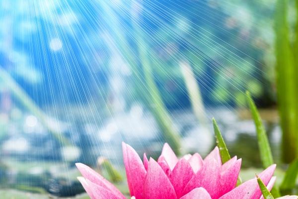 2026属鸡人最旺的方位