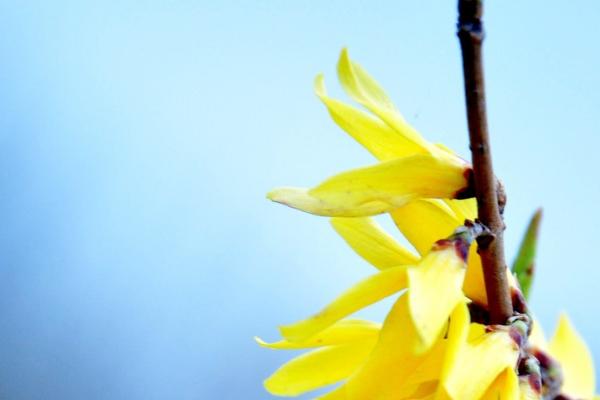 2026属马人最旺的方位