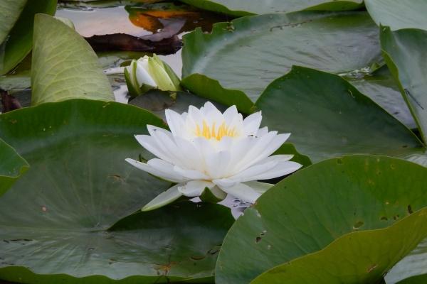 梦到自己抱着女孩是什么意思