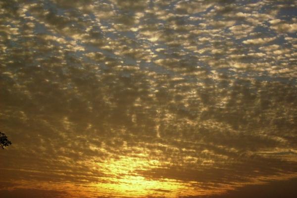 79年羊男2026有重孝吗