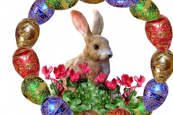 不敢惹属兔的生肖是什么，斗不过属兔人的生肖是谁