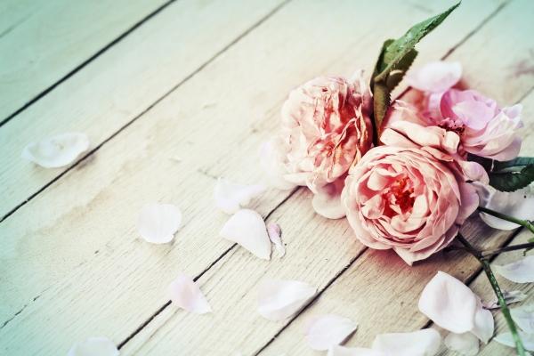 94年狗男最终婚姻结局