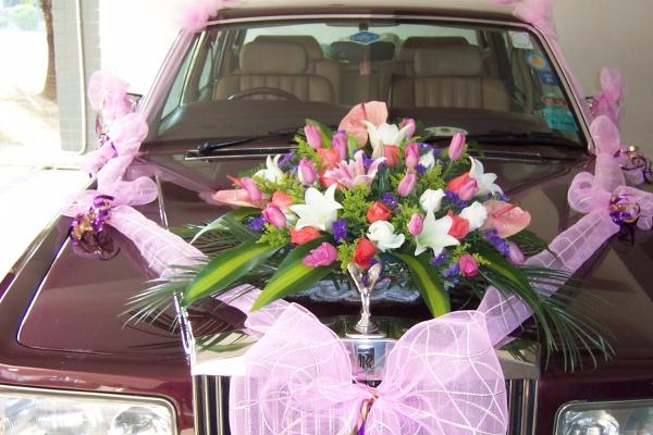 76龙女最终婚姻结局