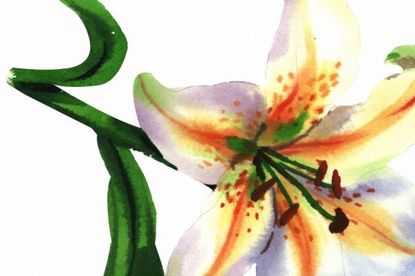 虎女佩戴什么饰品好