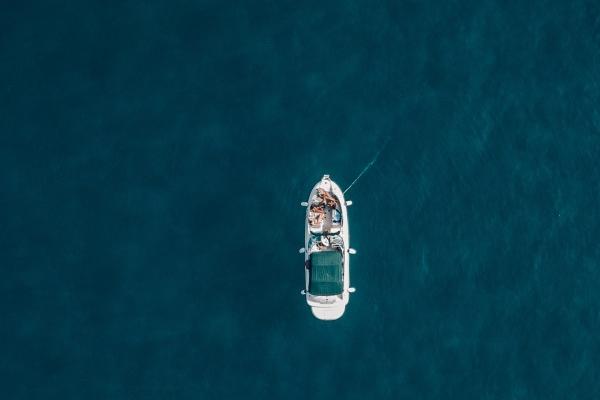 生肖牛天生的情敌是谁