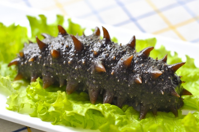 2027属羊本命年的大忌