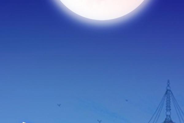 4两9女命最终下场