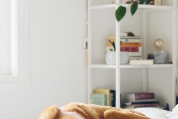 属羊人和父母的缘分如何