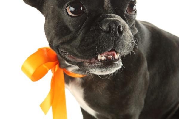 2000龙女几岁遇真爱