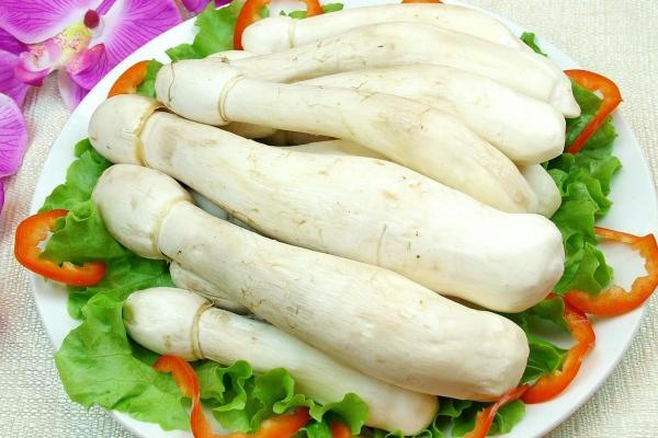 属鼠的从2026年就顺了