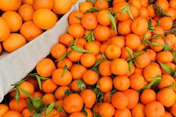 属蛇女又爱又恨的旧人是谁