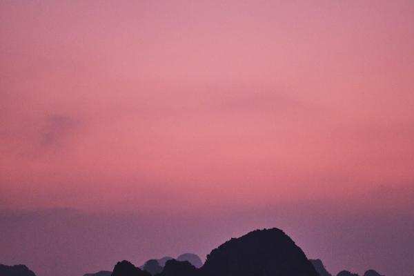 属猴的一生有几次真爱