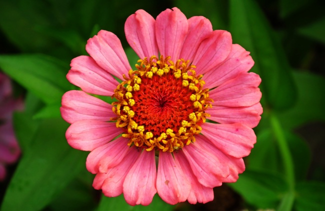 属马的人搬家忌什么属相，属马人搬家注意什么